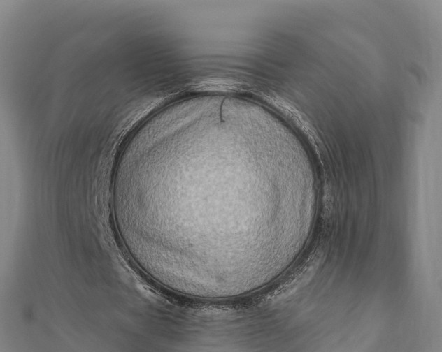 X0000112100529200908181327