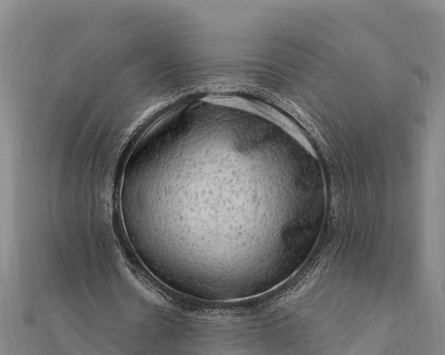 X0000112100530200908181327