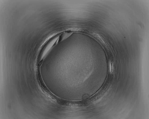 X0000112100531200908181327