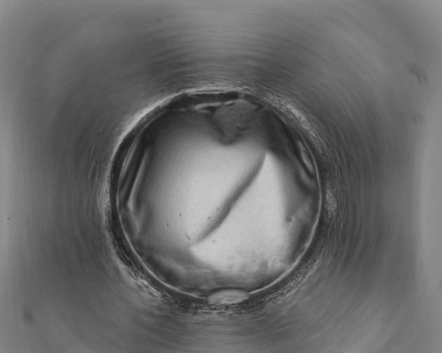 X0000112100532200908181327