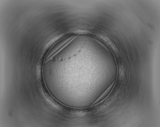 X0000112100533200908181327