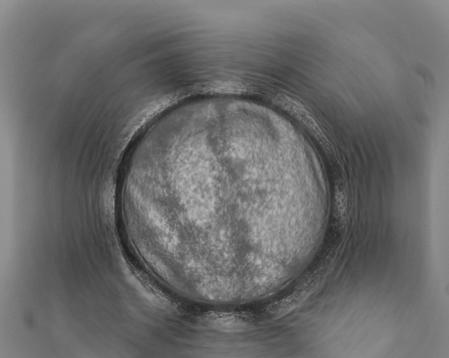 X0000112100534200908181327