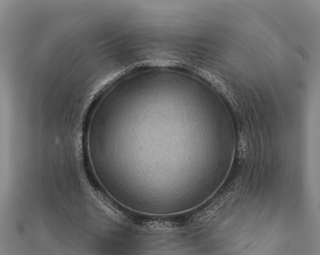 X0000112100535200908181327