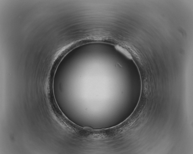 X0000112100536200908181327