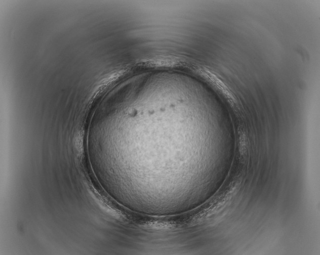 X0000112100537200908181327