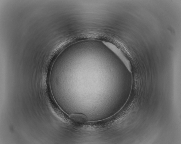 X0000112100538200908181327