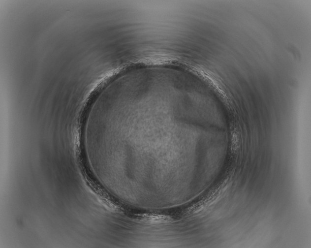 X0000112100539200908181327