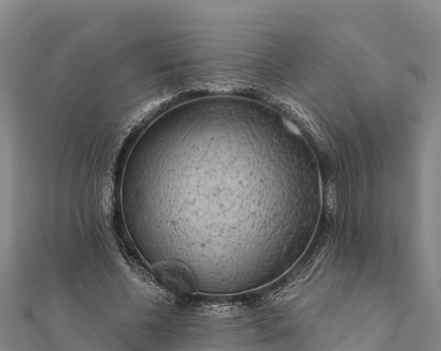 X0000112100540200908181327