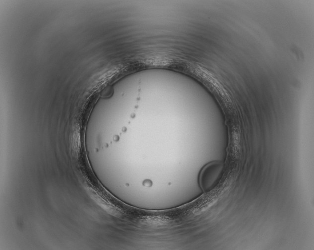 X0000112100541200908181327