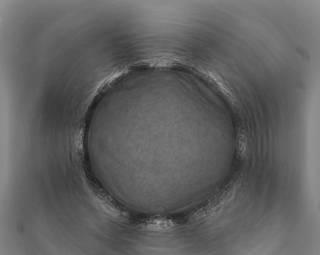 X0000112100543200908181327