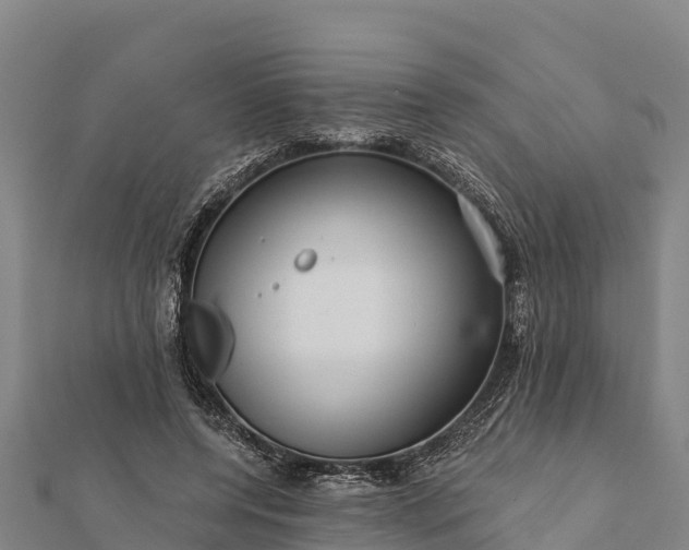 X0000112100544200908181327