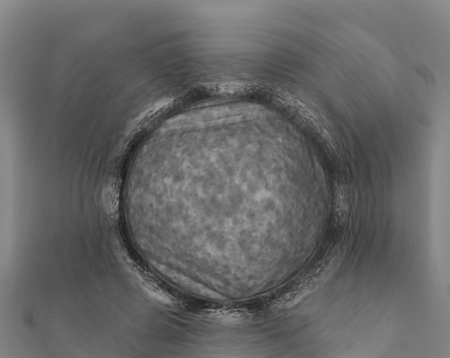 X0000112100545200908181327