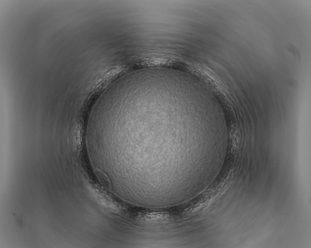 X0000112100546200908181327