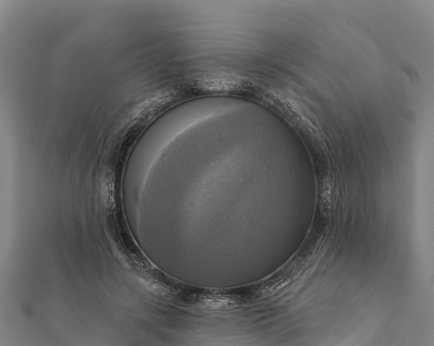 X0000112100547200908181327