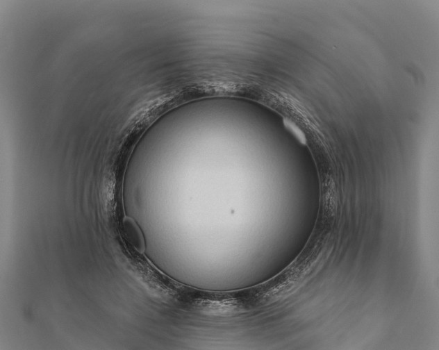 X0000112100548200908181328