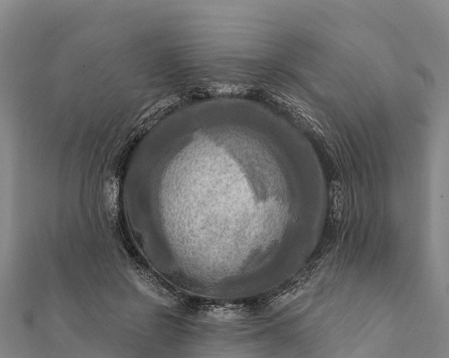 X0000112100550200908181328