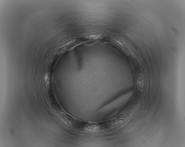 X0000112100551200908181328