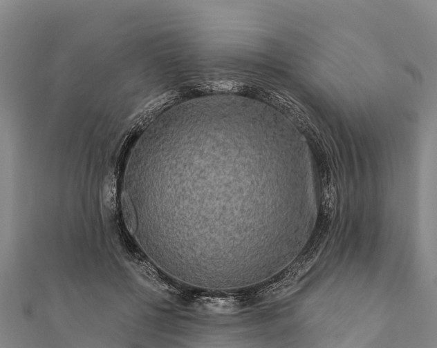 X0000112100552200908181328