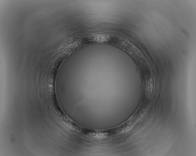 X0000112100553200908181328