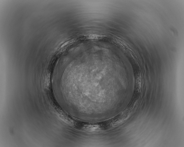 X0000112100554200908181328