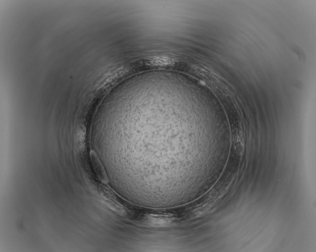 X0000112100556200908181328