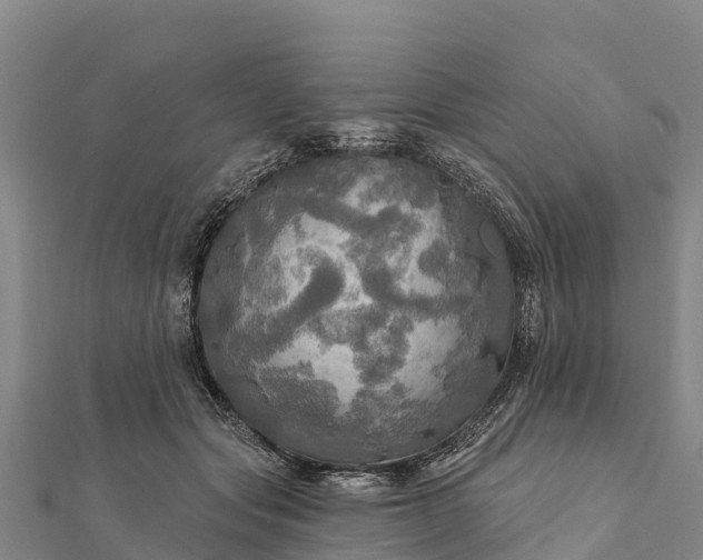 X0000112100557200908181328