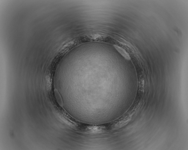 X0000112100558200908181328