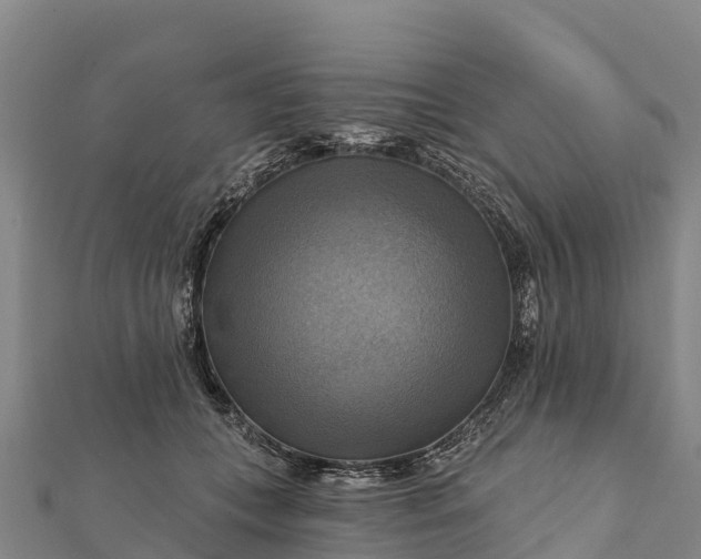 X0000112100559200908181328