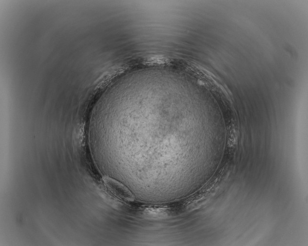 X0000112100560200908181328