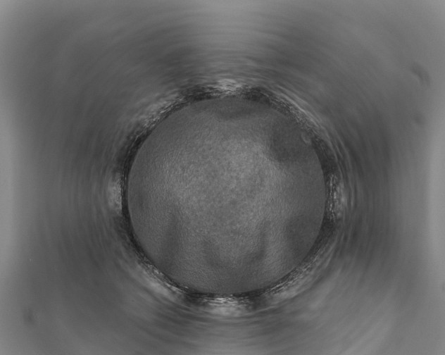 X0000112100562200908181328