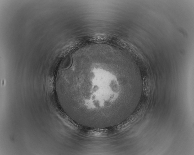 X0000112100563200908181328