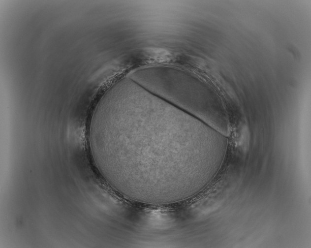 X0000112100564200908181328