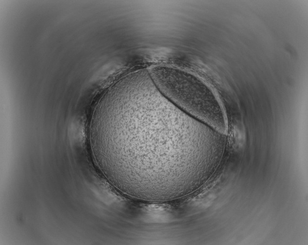 X0000112100566200908181328