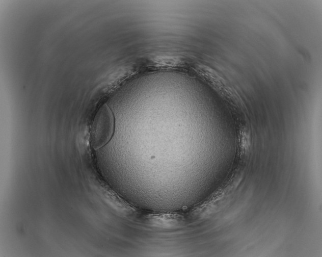 X0000112100567200908181328