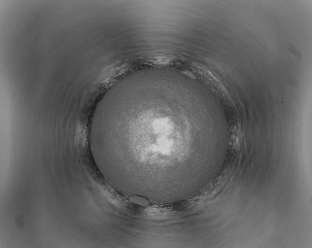 X0000112100568200908181328