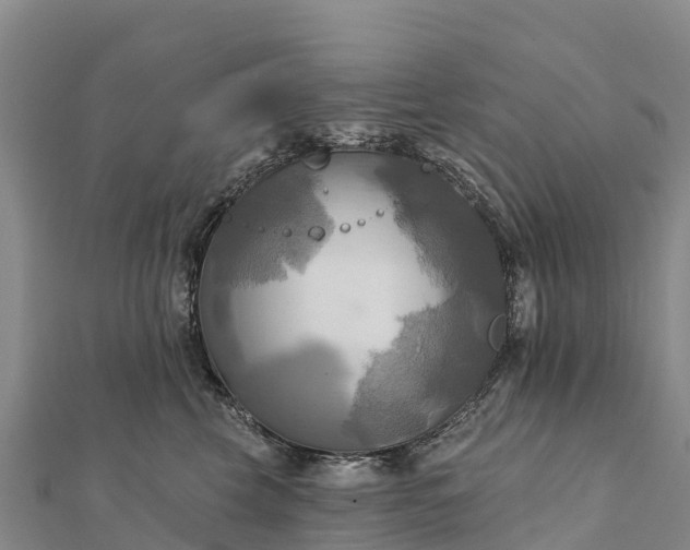 X0000112100569200908181328