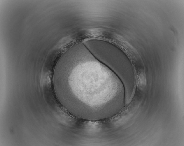 X0000112100570200908181328