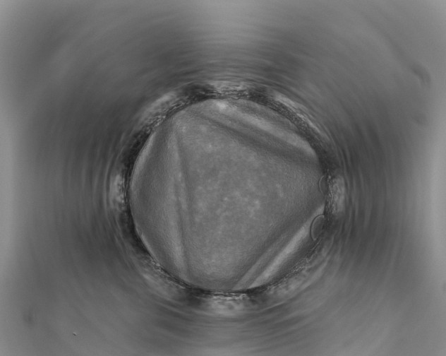 X0000112100571200908181328