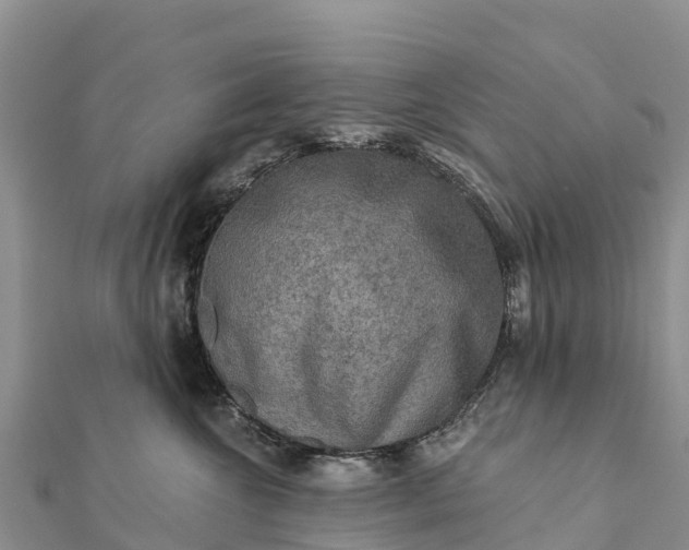 X0000112100572200908181328