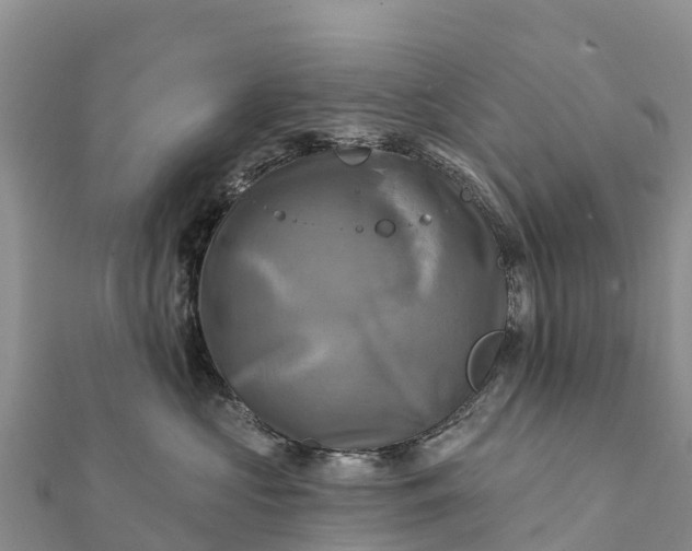 X0000112100573200908181328