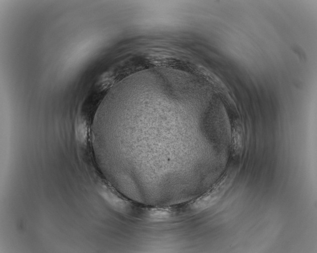 X0000112100574200908181328