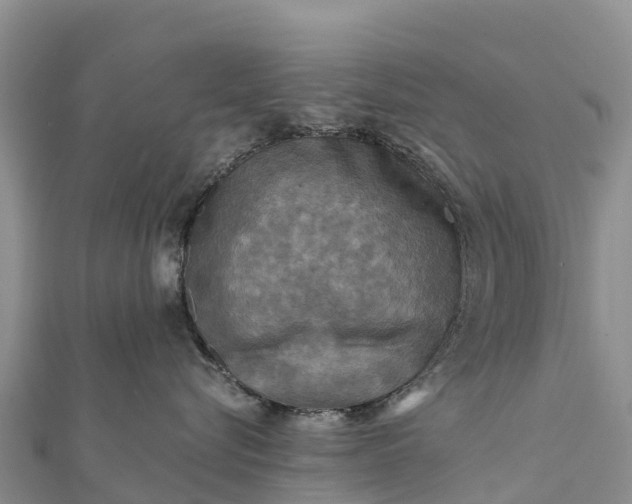 X0000112100576200908181328