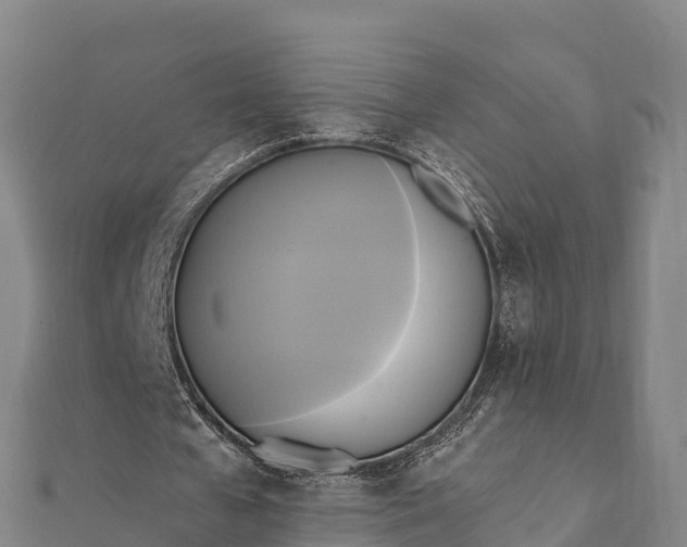 X0000112100577200908181327