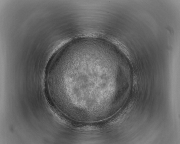 X0000112100578200908181327