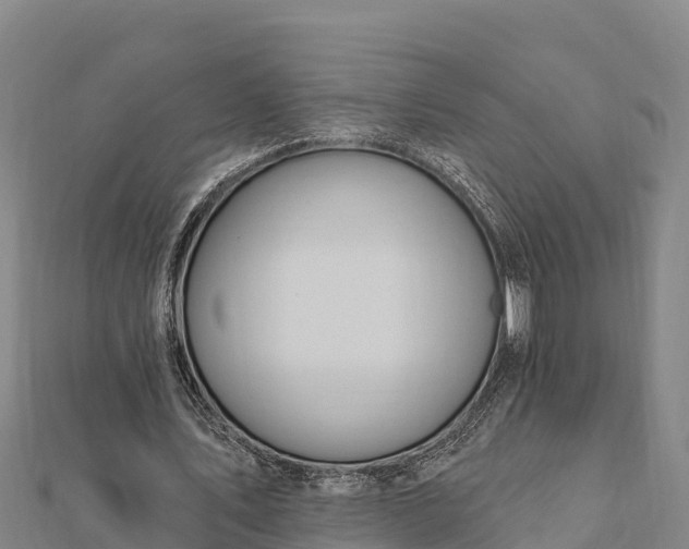 X0000112100579200908181327