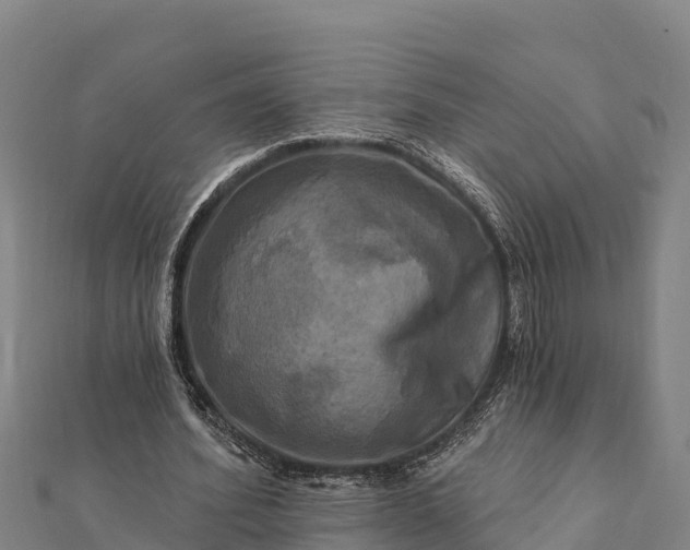 X0000112100580200908181327