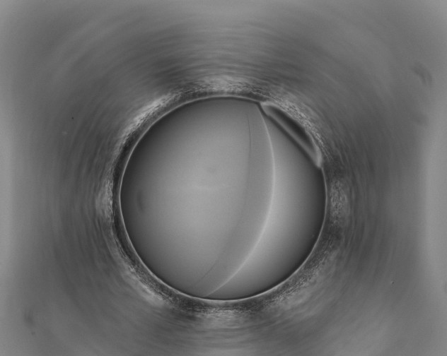 X0000112100581200908181327