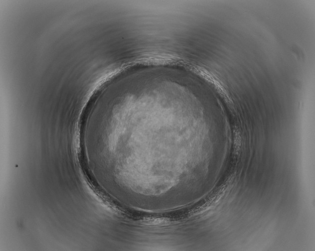 X0000112100582200908181327