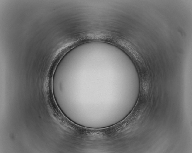 X0000112100583200908181327