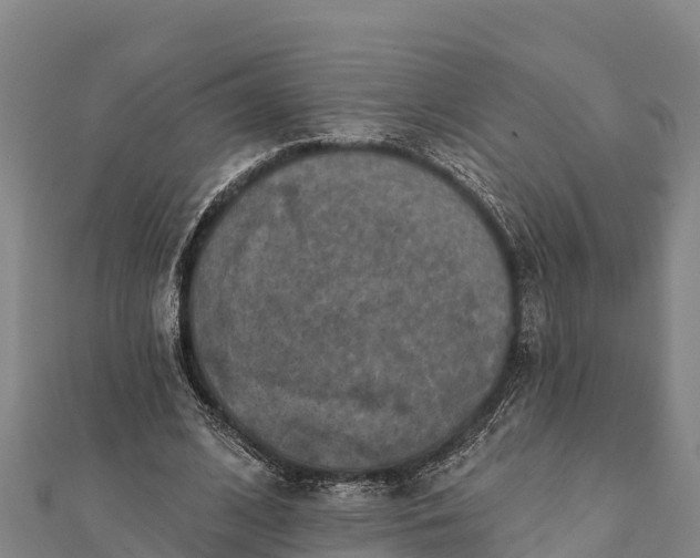 X0000112100584200908181327